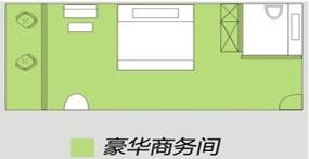 豪華商務間圖片